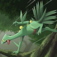 SkylighterVGC