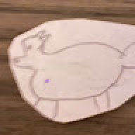 ZeChonkyFox