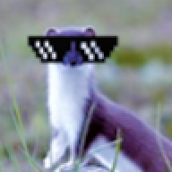 Stoats