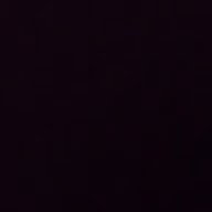 tifu1905