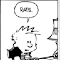 RatsAndOranges