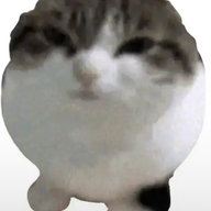 Sir Skiggles