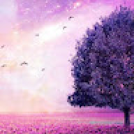 Magentatree123