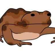 Samm (13ms)