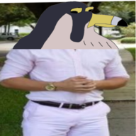 Peregrine_ST