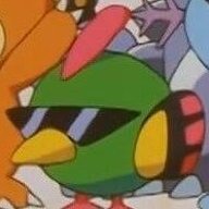 birbus