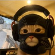Tzvn