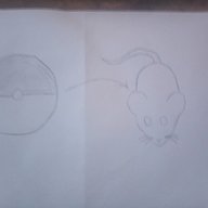 The Kalos Fox