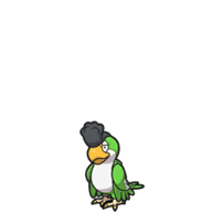 Gourgeist Enjoyer