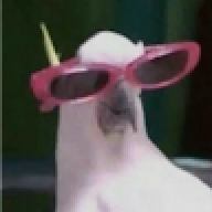 Luizfernando54243