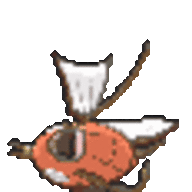 Follower of Karpism