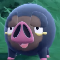 chonky boi
