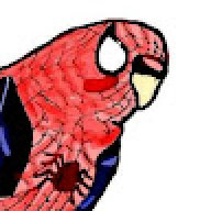 SpiderBird8
