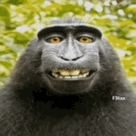 bicmouth