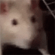 Person_Guy