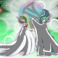Shadow Crystal