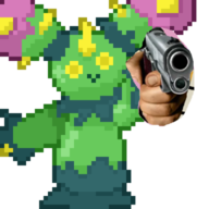 Enhydra