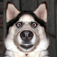 shadowhooh