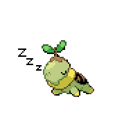Turtwigswiththrohs