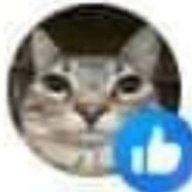 dusteet