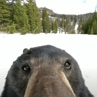 Ademerald