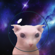 RyinThyme