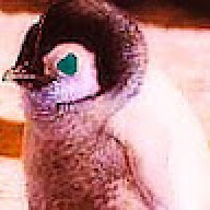 Pocketranger