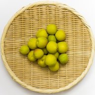 greenapricotttss
