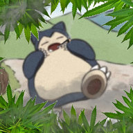 longshlongtom