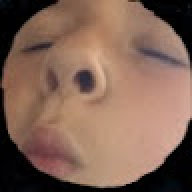rehehehathepingus