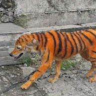 ELTranon
