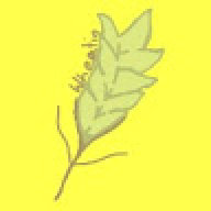 Wheatin