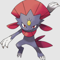 Colellus81