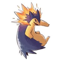 A Silly Typhlosion