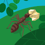 ANT-LEADER