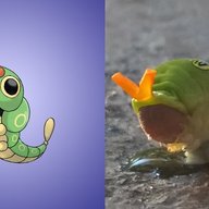 Limesaytr