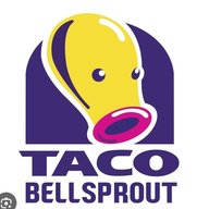 TacoDerp