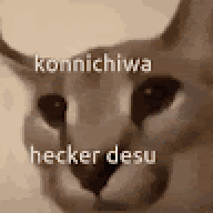 techheadVGC
