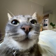 nicolsafr1yy