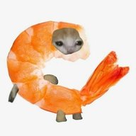 Anna_Melon