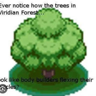 LeafeonMain?