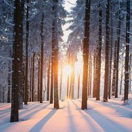snowcrash