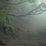 Koromashiku