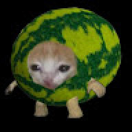 xavcow