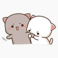 lyra__4