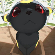 Pokémon and cat lover