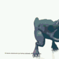 Catdude1234