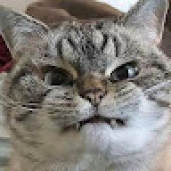 jsdan00