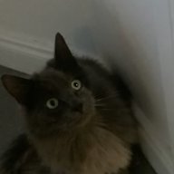 Ppnopoopoo