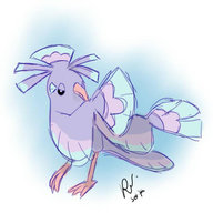 pokey mens